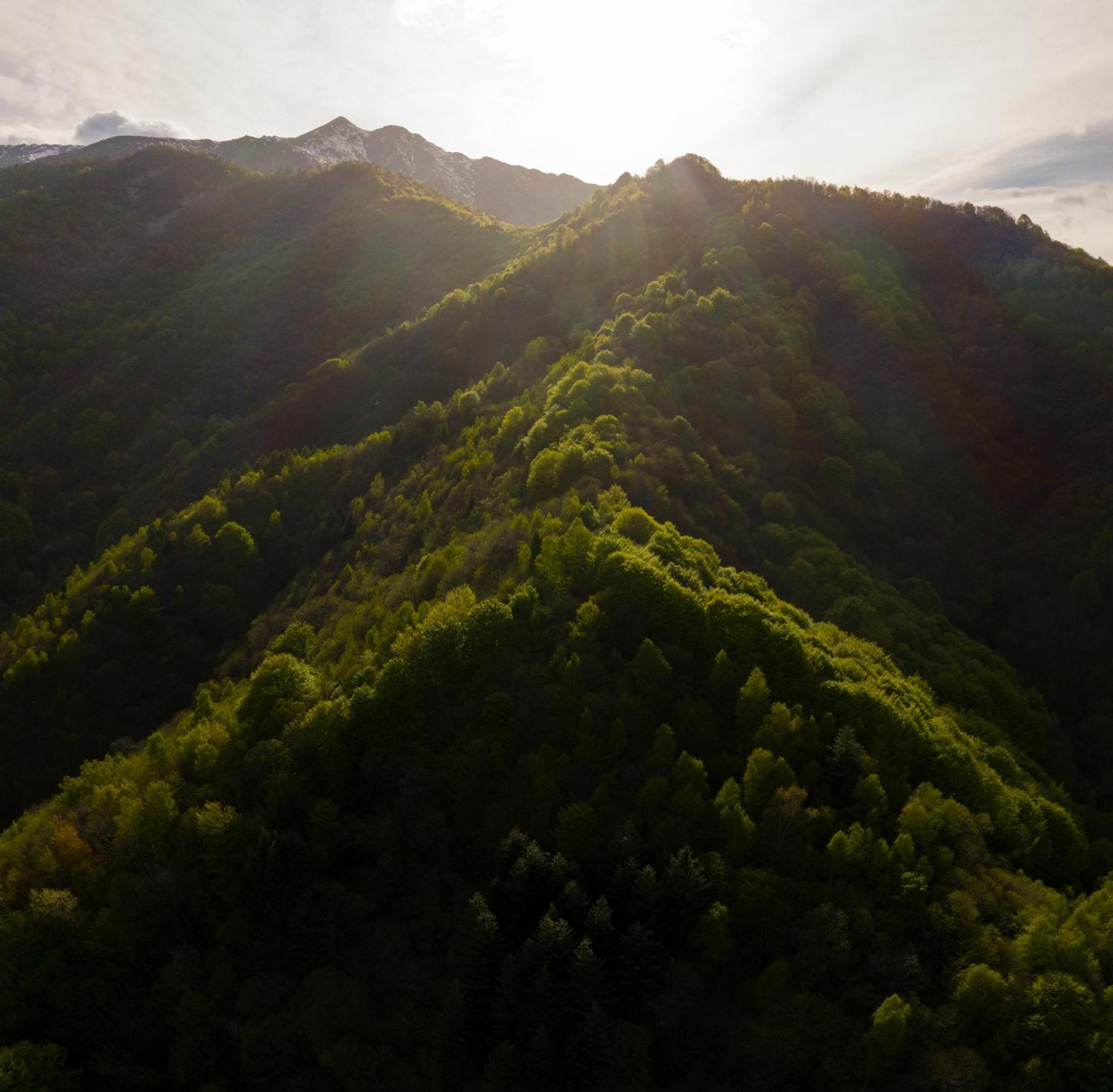 Iduevagamondi - Ospitalita Rurale Famigliare Di Montagna Bed & Breakfast Chiusa di Pesio Luaran gambar